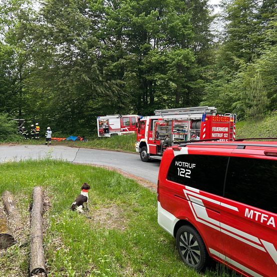 Rettungsfahrzeuge sind am Straßenrand geparkt. Zwei Feuerwehrleute stehen in der Nähe, und ein Hund sitzt auf dem Rasen. Die Fahrzeuge zeigen die Nummer 122.