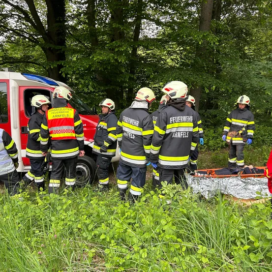 Feuerwehrleute in Schutzkleidung stehen auf einem Feld, in der Nähe eines roten Rettungsfahrzeugs und einer Trage. Sie scheinen sich auf einen Notfall vorzubereiten.