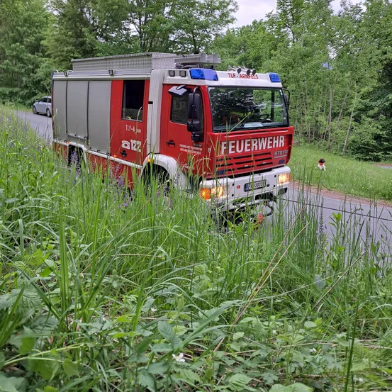 Ein roter Feuerwehrwagen fährt mit eingeschaltetem Licht auf der Straße und bewegt sich in Richtung einer grasbewachsenen Fläche.