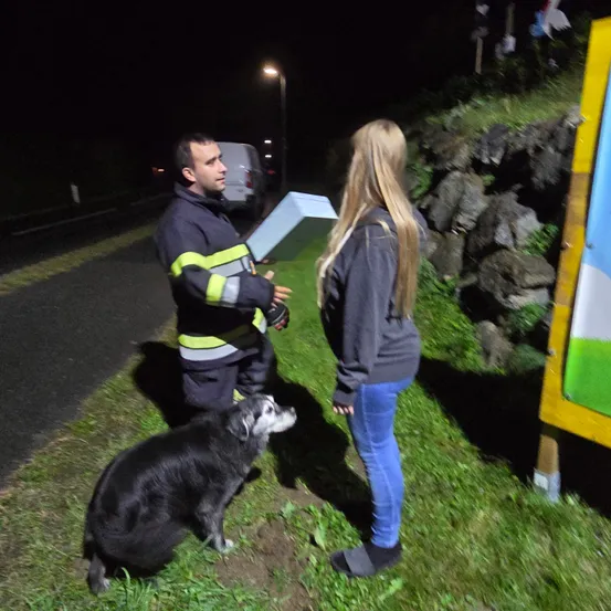 Ein Feuerwehrmann und eine Frau stehen bei Nacht auf einem Grasbereich, in der Nähe einer Straße, mit einem Hund und einem Schild. Der Feuerwehrmann hält eine Box, und die Frau schaut ihn an.