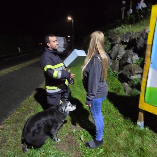 Ein Feuerwehrmann und eine Frau stehen bei Nacht auf einem Grasbereich, in der Nähe einer Straße, mit einem Hund und einem Schild. Der Feuerwehrmann hält eine Box, und die Frau schaut ihn an.