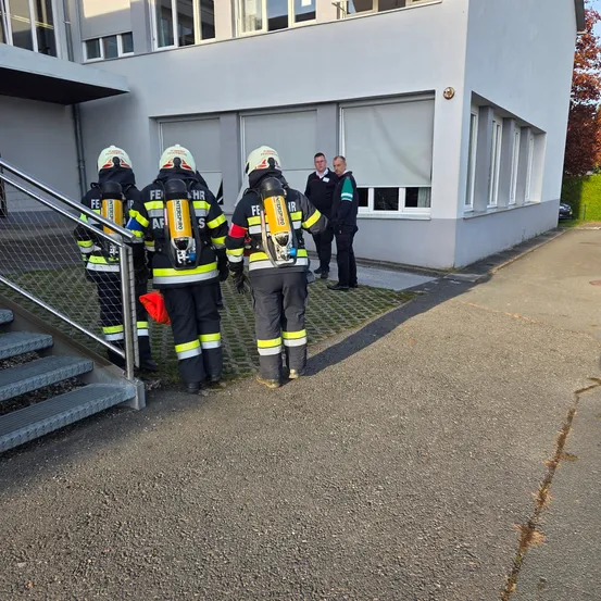 Fünf Feuerwehrleute in gelben und schwarzen Uniformen mit reflektierenden Streifen gehen auf ein Gebäude zu. Einer trägt einen Feuerlöscher. Zwei Männer stehen beim Eingang.