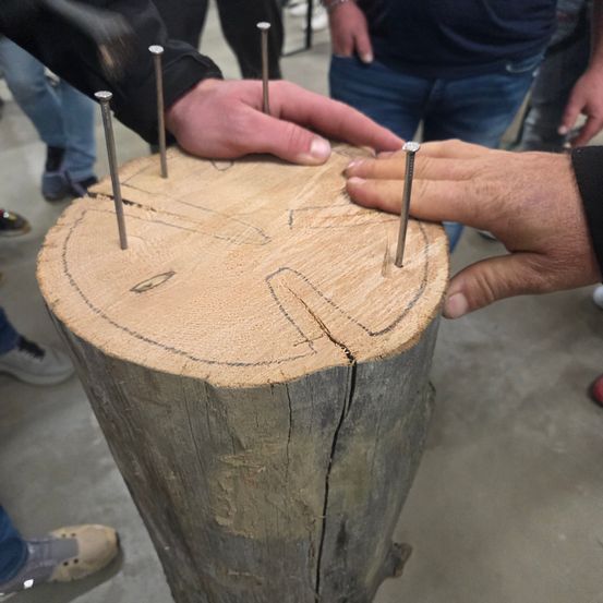 Mehrere Personen arbeiten an einem Baumstamm mit Nägeln, um eine Gesichtskontur zu erstellen.