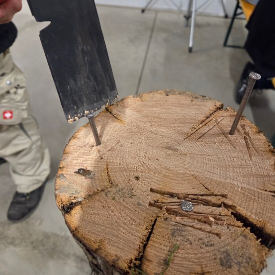 Ein Nahaufnahme eines Baumstumpfs zeigt eine große Sägeblatt, das mit zwei Nägeln im Holz eingebettet ist.