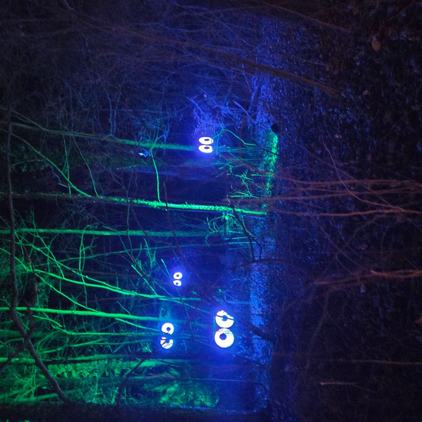 Eine Nachtszene mit leuchtenden Augen auf Baumstämmen. Die Bäume sind mit grünen und blauen Lichtern beleuchtet.