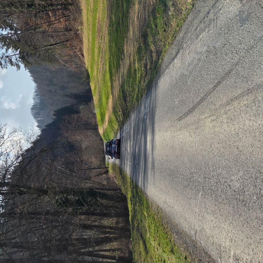 Ein Auto fährt auf einer schmalen Schotterstraße, umgeben von einem Wald. Die Straße wird von einem Grasfeld auf einer Seite gesäumt.