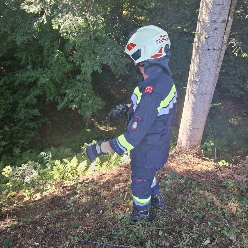 A firefighter in full gear, standing in a forest, holding a device, with a tree trunk behind him.