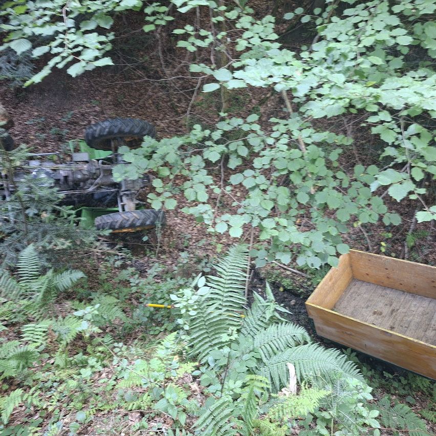 A tractor wheel is stuck in the underbrush, with a wooden box nearby in a dense forest.