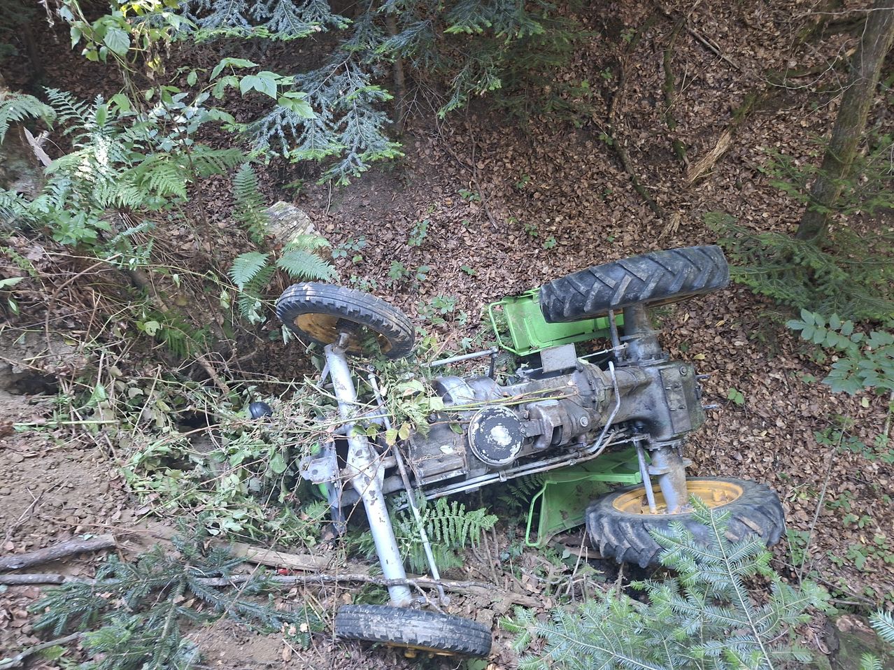 An overturned tractor lies in a forest, surrounded by plants and fallen leaves. The tractor is green and black, with a large black tire on the right side.