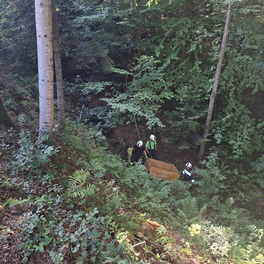 Three people in safety gear are in a forest, using a wooden box to transport something. The forest is dense with greenery.
