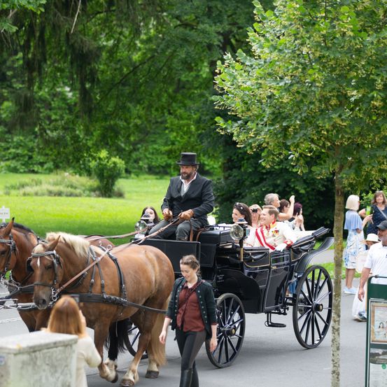 Adult, Female, Person, Woman, Horse Cart, Vehicle, Wagon, Carriage, Male, Man