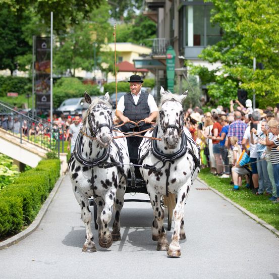 Adult, Male, Man, Person, Horse, Mammal, Horse Cart, Vehicle, Wagon, Carriage