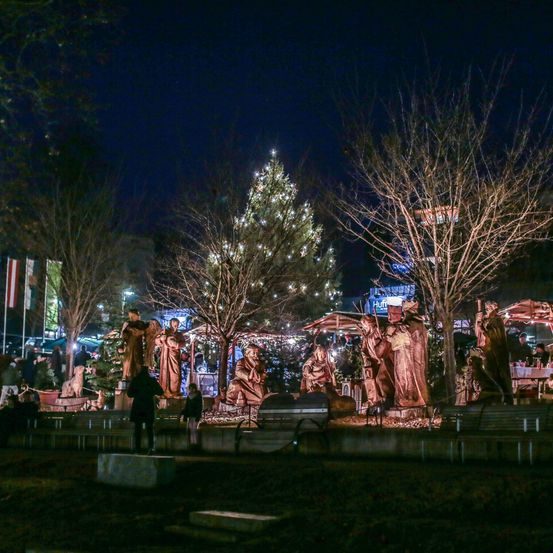 Plant, Tree, Urban, City, Fir, Person, Christmas Decorations, Festival, Night, Outdoors