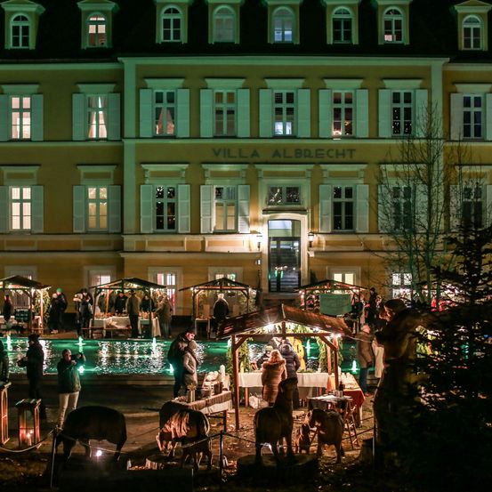 Lighting, Urban, Building, Tree, Neighborhood, City, Fir, Hotel, Person, Night