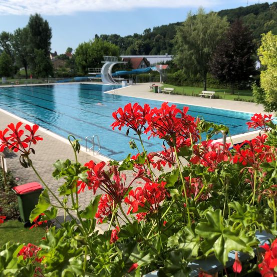 Nature, Outdoors, Scenery, Pool, Water, Garden, Swimming Pool, Summer, Hotel, Park