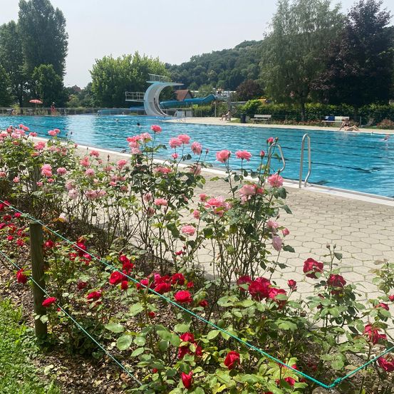 Nature, Outdoors, Scenery, Garden, Grass, Park, Pool, Swimming Pool, Summer, Vegetation