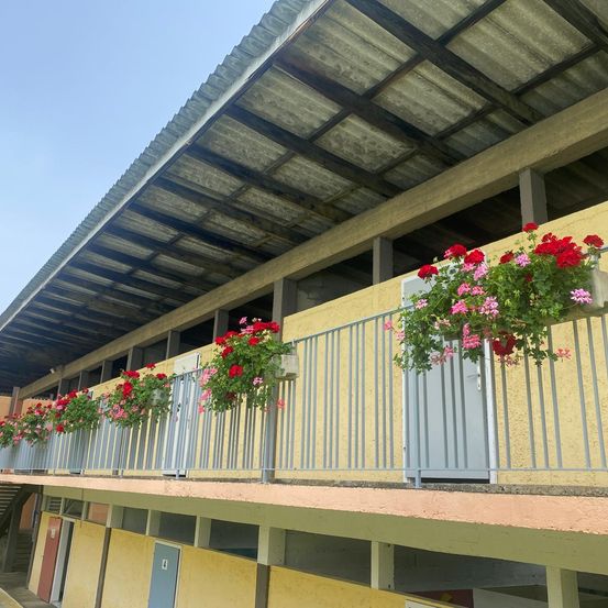 Indoors, Interior Design, Plant, Outdoors, Nature, Architecture, Balcony, Building