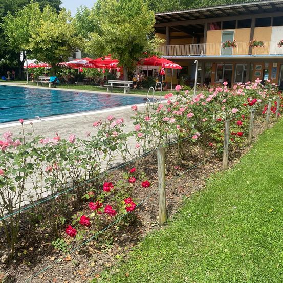 Villa, Hotel, Resort, Nature, Outdoors, Scenery, Garden, Backyard, Summer, Swimming Pool