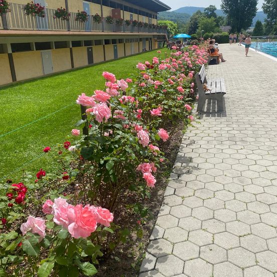Nature, Outdoors, Scenery, Villa, Path, Walkway, Grass, Park, Flower, Garden