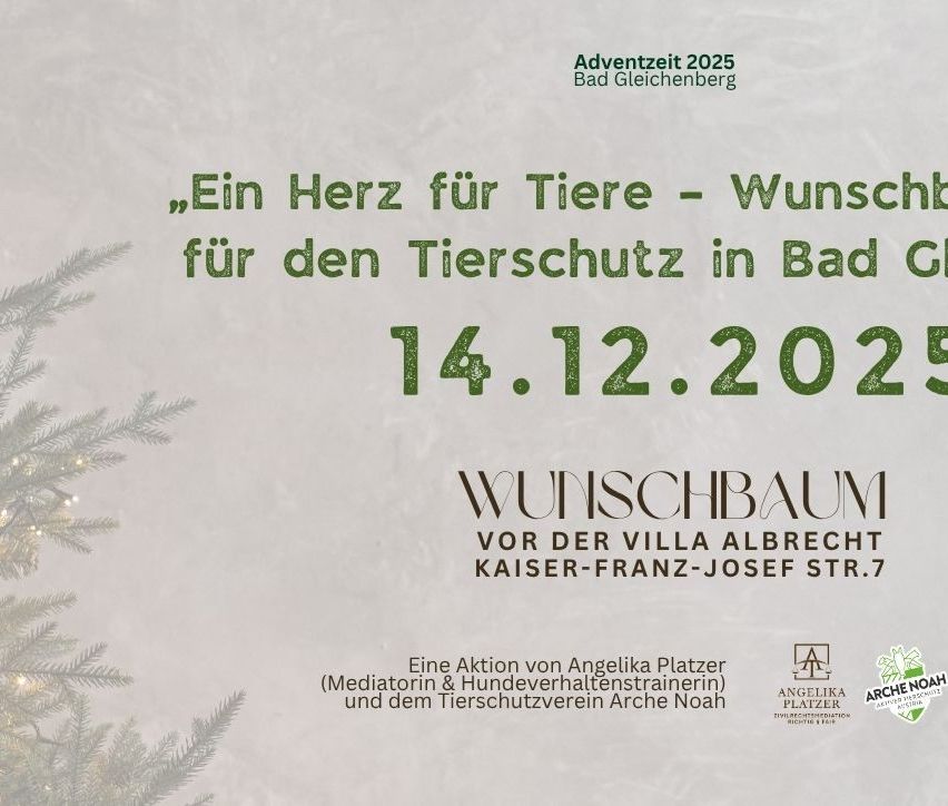 Adventsezeit 2025 in Bad Gleichenberg. Ein Herz für Tiere - Wunsch für den Tierschutz am 14.12.2025. Ein Wunschbaum vor der Villa Albrecht. Eine Aktion von Angelika Platzer, Mediatorin & Hundeverhaltenstrainerin, und dem Tierschutzverein Arche Noah.