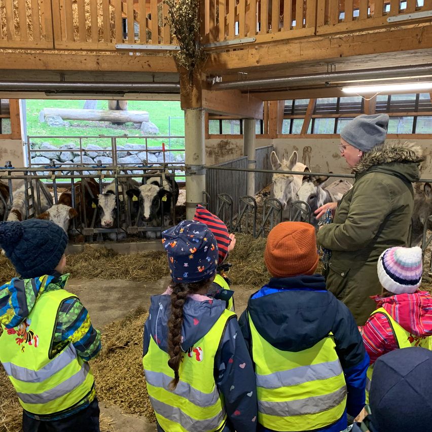 Eine Frau in einer grünen Jacke steht mit Kindern, die alle neonfarbene Westen tragen, in einer Scheune. Sie beobachten Kühe und Esel. Die Scheune hat Holzwände, einen Holzbalkon und Fenster.