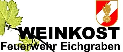 Das Logo für Weinkost zeigt ein grünes Blatt und den Namen Weinkost mit einem Feuersymbol auf der rechten Seite.