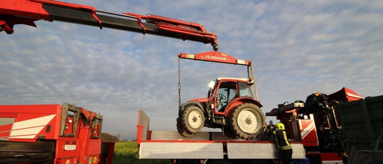 v1_migrated_image_66040276