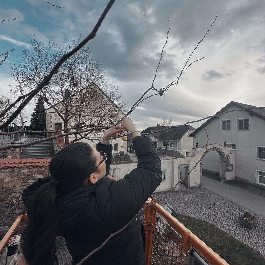 Eine Frau mit langen Haaren pflückt Früchte von einem Ast. Sie trägt eine schwarze Jacke und eine Brille. Hinter ihr befindet sich ein Steingebäude mit einer Treppe und einem Zaun.