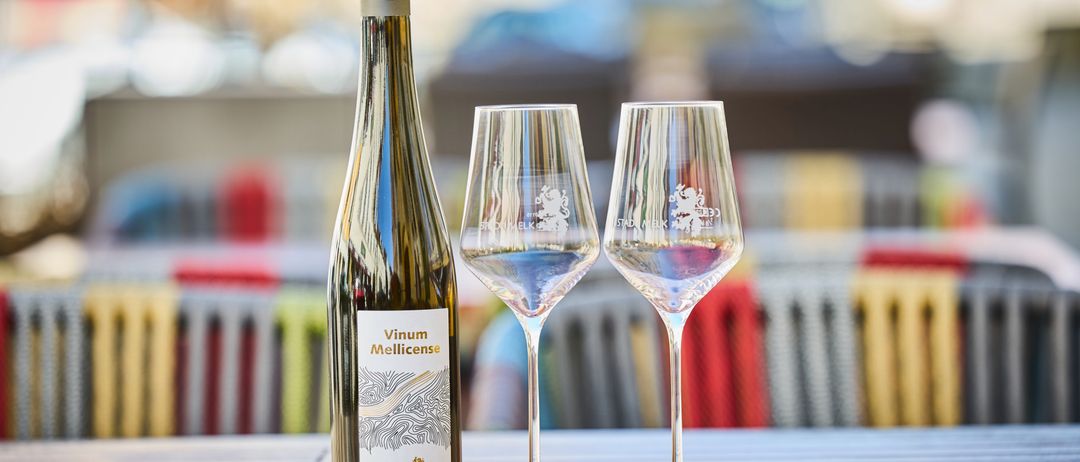 Bild enthält, Nature, Outdoors, Countryside, Rural, Alcohol, Beverage, Farm, Vineyard, Wine Tour