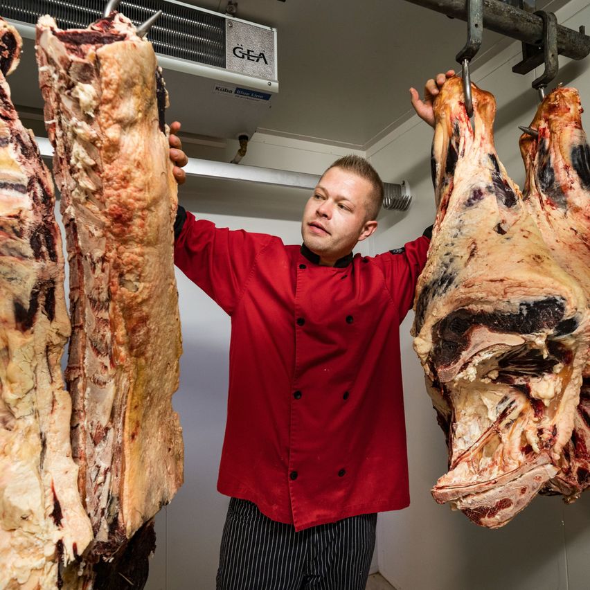 Bild enthält, Butcher Shop, Shop, Adult, Male, Man, Person, Face, Clothing, Shirt, Beef