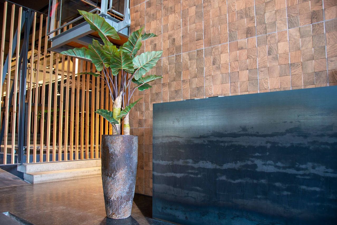 Bild enthält, Interior Design, Plant, Potted Plant, Floor, Flooring, Pottery, Jar, Planter, Vase, Flower Arrangement