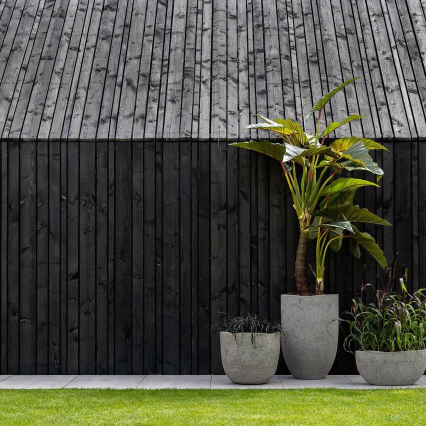 Bild enthält, Plant, Potted Plant, Interior Design, Jar, Planter, Pottery, Vase, Backyard, Nature, Outdoors