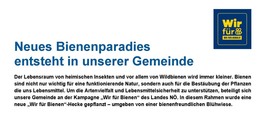 GemeindezeitungsvorlageHeckentag2025WirfueBienen