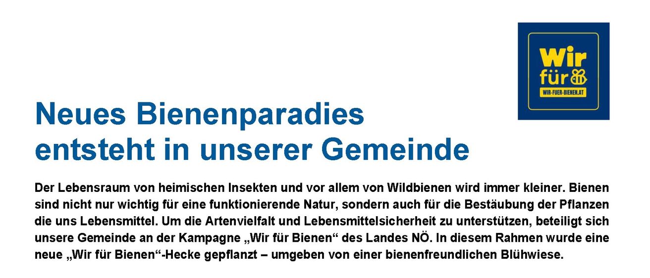 GemeindezeitungsvorlageHeckentag2025WirfueBienen