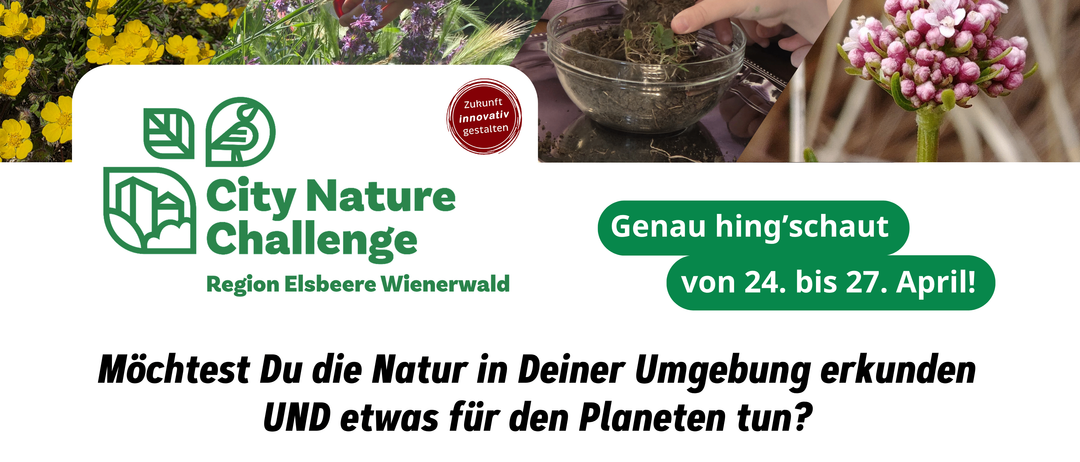 Erkunde die Natur in deiner Umgebung und helfe dem Planeten. City Nature Challenge Region Elsbeere Wienerwald. April 24-27. Fotografiere wilde Pflanzen und Tiere oder nimm Geräusche auf. Lade deine Beobachtungen bis 10. Mai auf iNaturalist hoch. Mitmachen ist einfach und kostenlos. QR-Code-Link zu weiteren Informationen.