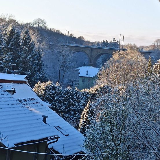 Bild enthält, Plant, Tree, Bridge, Building, Viaduct, Outdoors