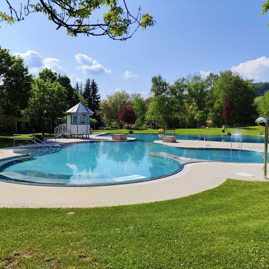Bild enthält, Nature, Outdoors, Scenery, Pool, Water, Swimming Pool, Grass, Person, Backyard, Hot Tub