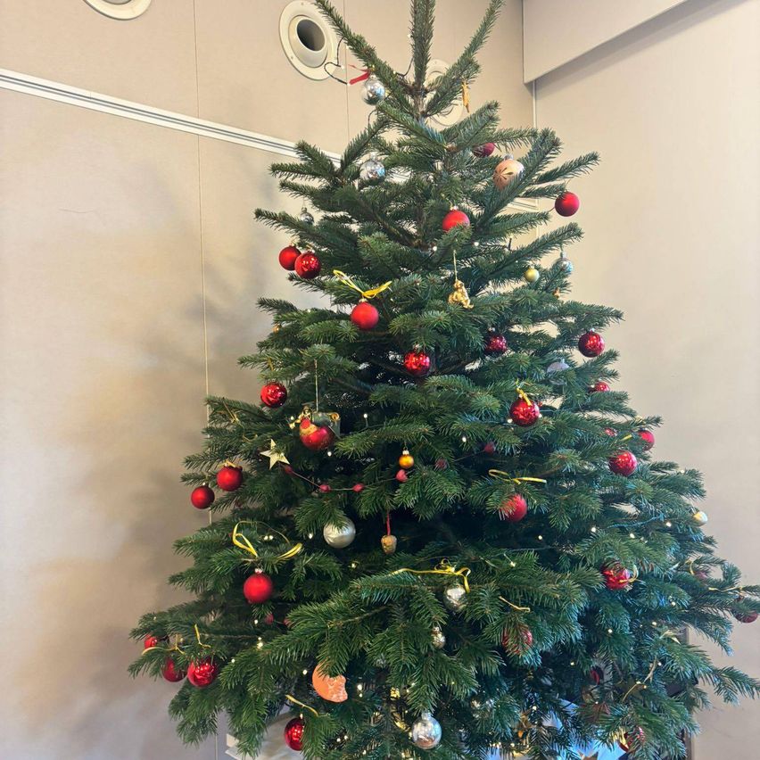 Ein Weihnachtsbaum steht hoch, geschmückt mit roten und silbernen Kugeln und gelben Bändern. Er steht vor einer weißen Wand mit einem subtilen Streifenmuster.