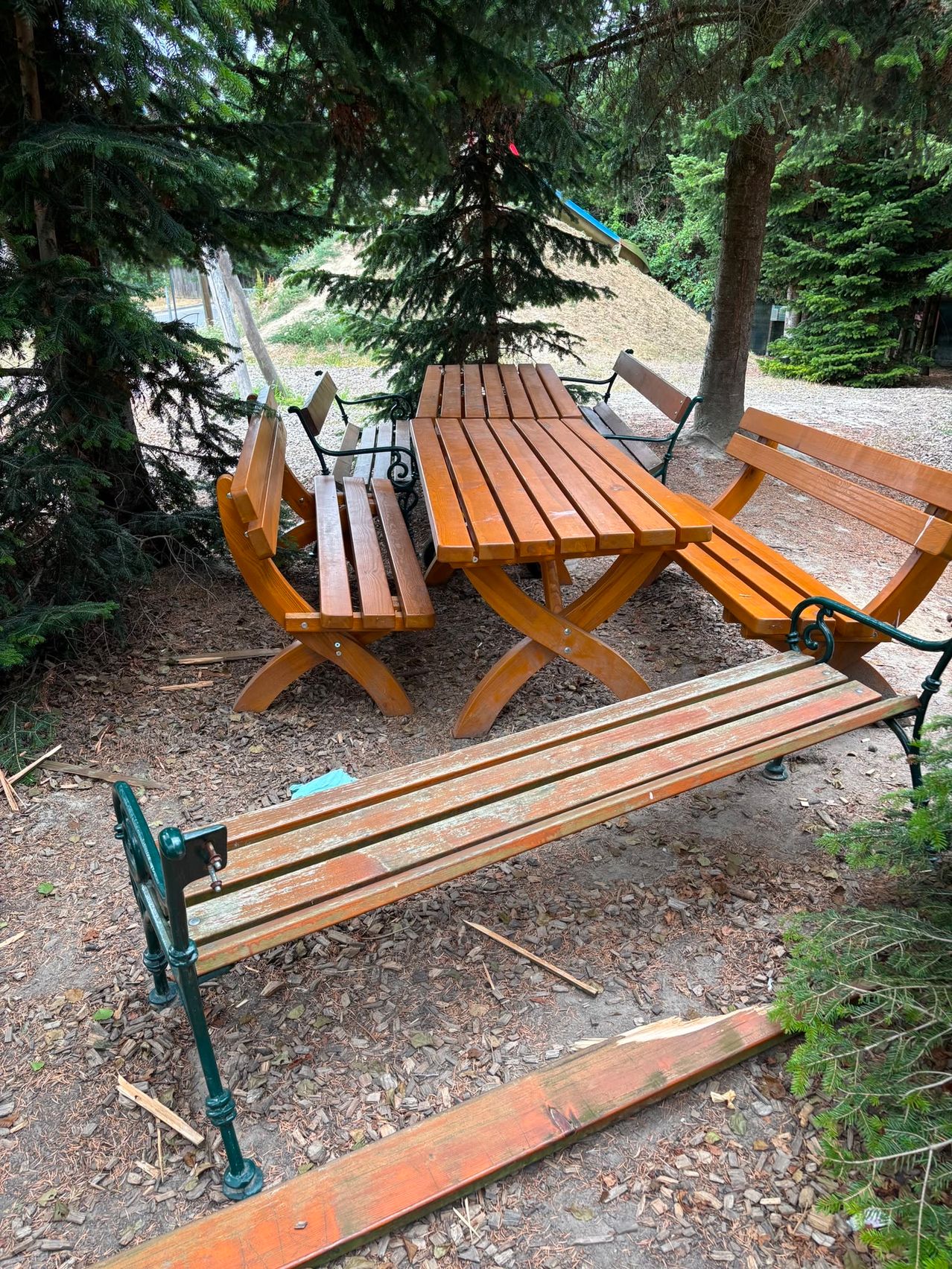 Ein hölzerner Picknicktisch und Bänke stehen in einem Park, umgeben von immergrünen Bäumen. Die Bänke sind in einem verblichenen Braunton gestrichen.