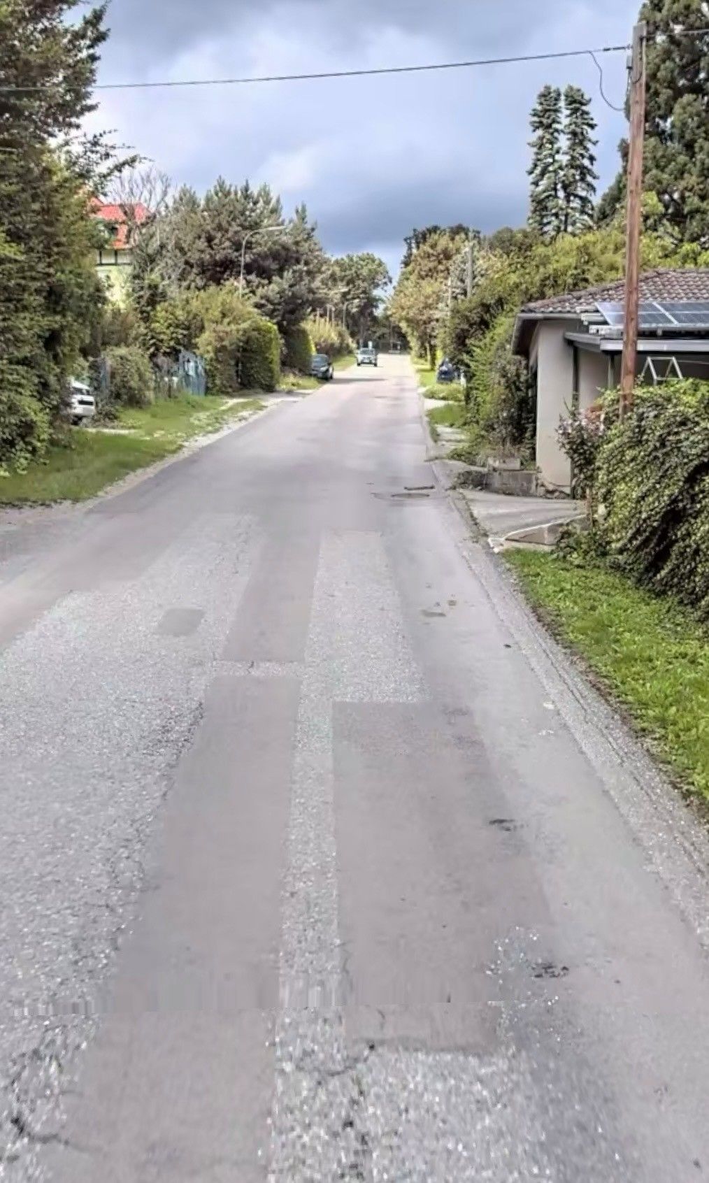 Eine ruhige Wohnstraße mit einigen geparkten Autos und viel Grün auf beiden Seiten.