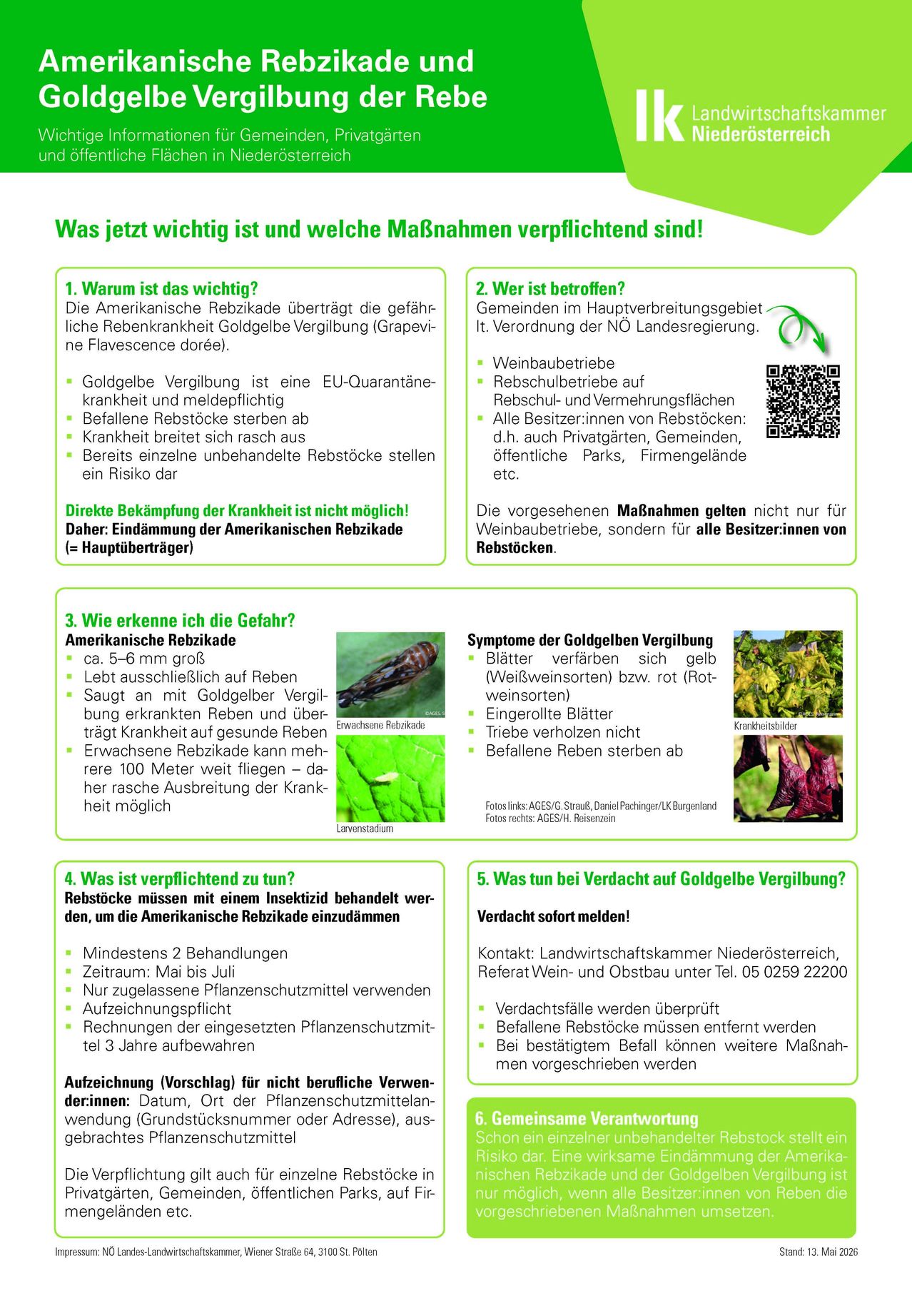 Die Amerikanische Reblaus überträgt die gefährliche Reblauskrankheit Goldgelbe Vergilbung (Grapevine Flavescence dorée). Direkte Bekämpfung der Krankheit ist nicht möglich. Gemeinden im NO-Regierungsgebiet. Die vorgeschlagenen Maßnahmen gelten nicht nur für Weinbaubetriebe, sondern für alle Besitzer von Weinstöcken.