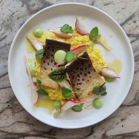 Ein Teller mit gegrilltem Fisch, gelbem Risotto und grünen Blättern. Das Gericht wird mit grünen Bohnen, Erbsen und Radieschen garniert. Der Teller steht auf einer Marmorfläche.