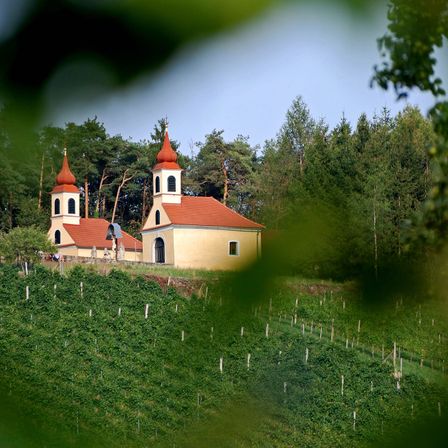 Bild enthält, Building, Spire, Fir, Tree, Outdoors, Grass, Nature, Countryside, Housing, Grassland