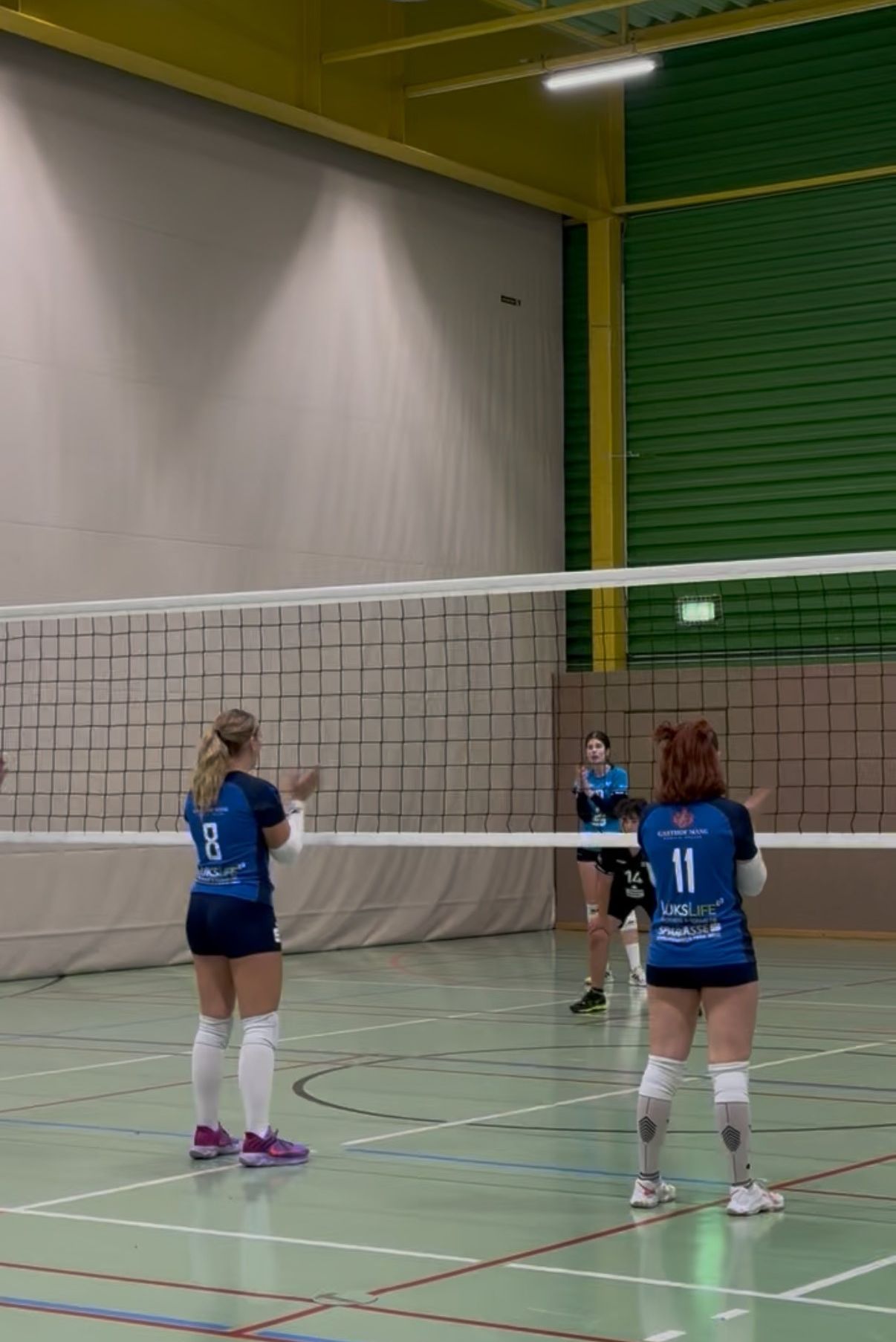 Ein Hallen-Volleyballspiel mit Spielerinnen in blauen Trikots, eine Spielerin mit der Nummer 8 und eine mit der Nummer 11, ist im Gange. Der Platz hat ein weißes Netz.