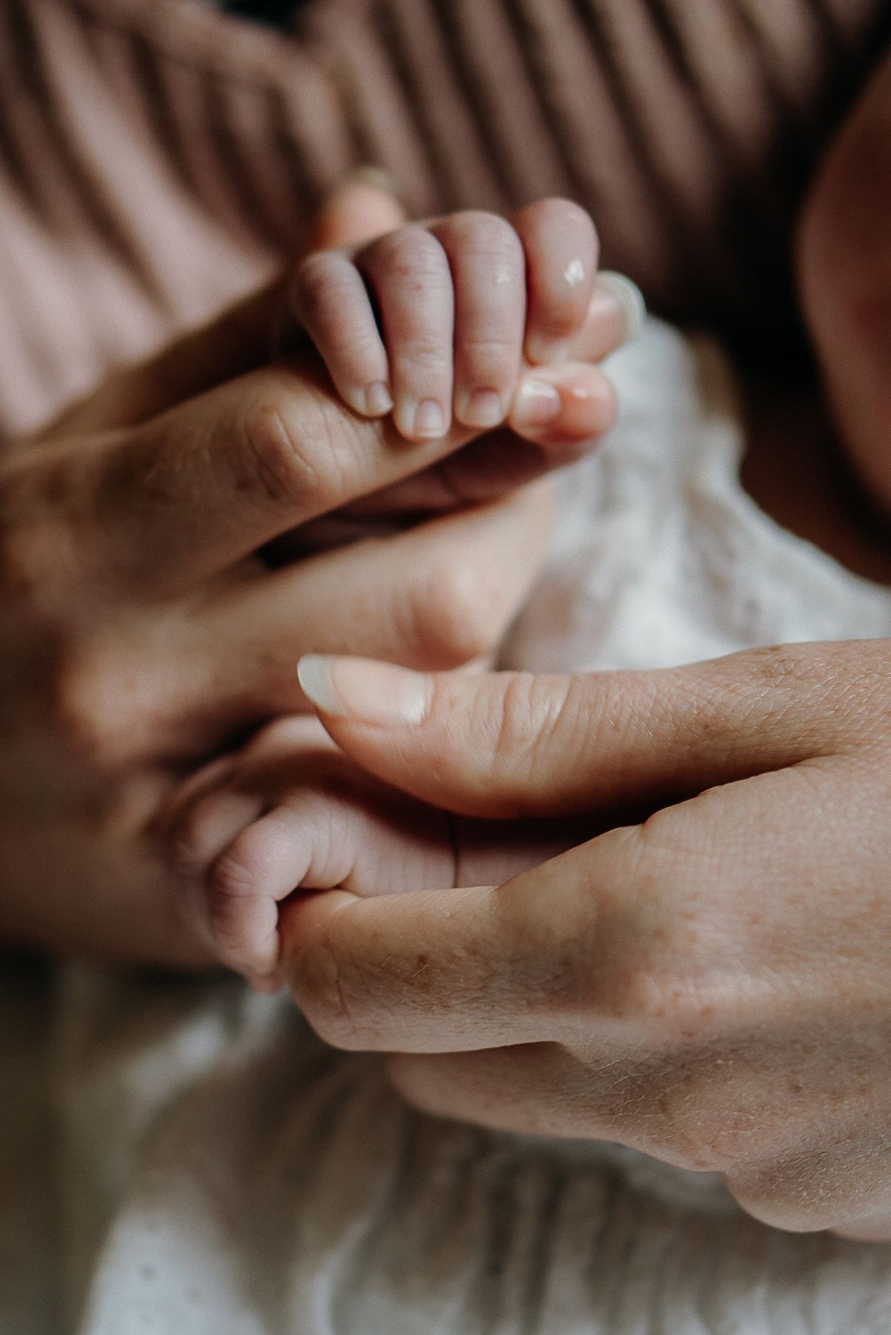 Ein Nahaufnahme von Händen, die die winzige Hand eines Babys halten, Finger verschränkt. Die Hand des Babys ist klein und zierlich, mit sichtbaren Fingernägeln.