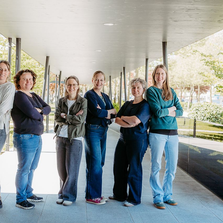Sechs Frauen stehen in einer Reihe, Arme verschränkt und lächeln vor einem modernen Gebäude mit Bäumen und einer reflektierenden Wand im Hintergrund.