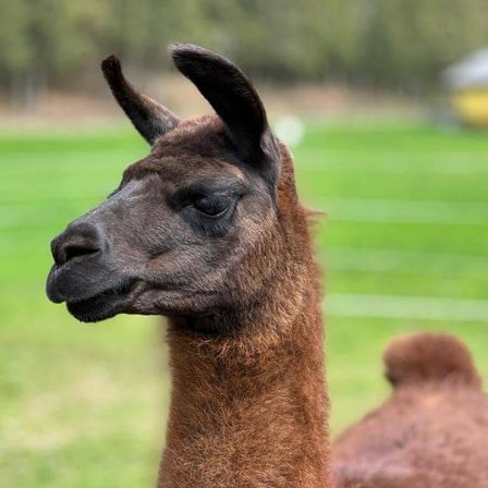 v1_migrated_image_48930945