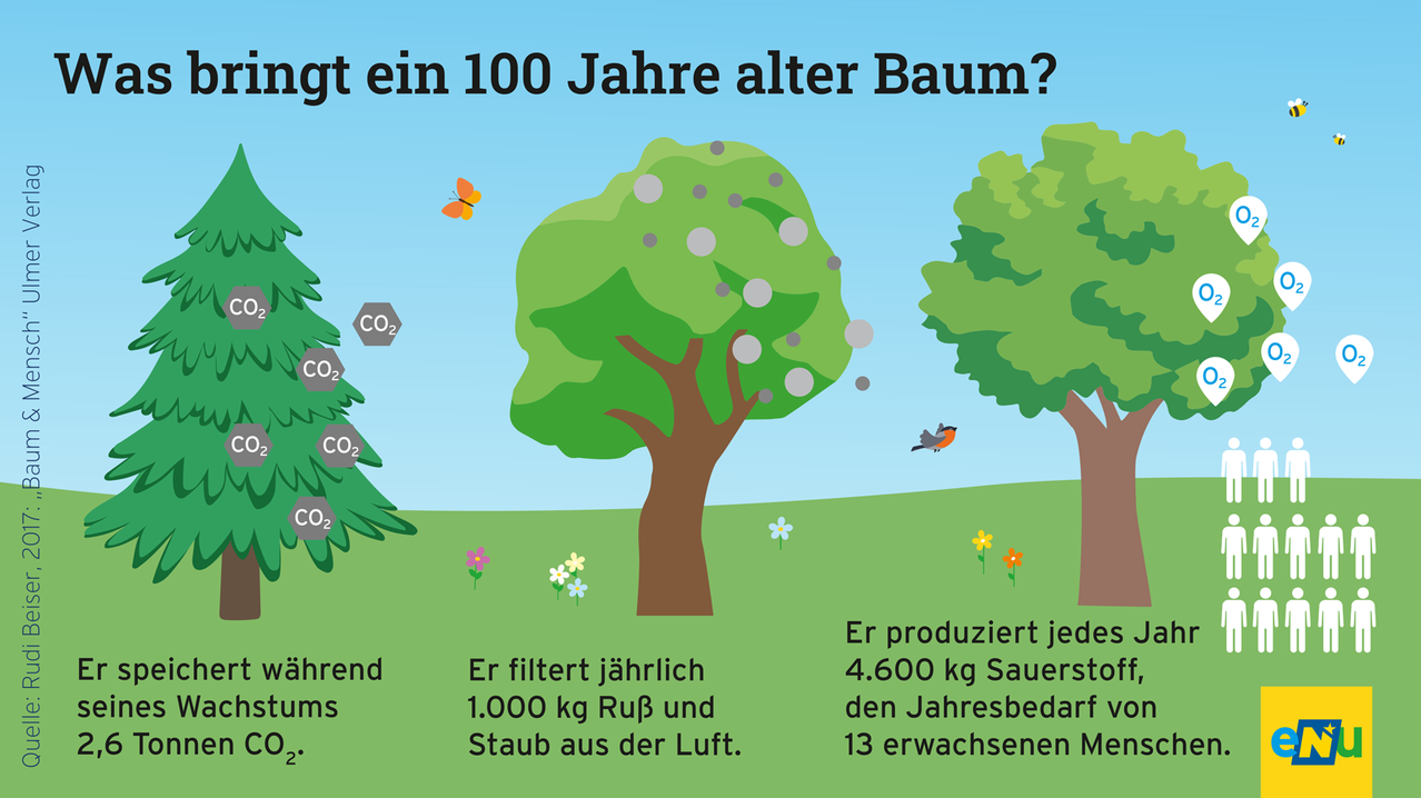 Ein 100 Jahre alter Baum filtert jährlich 1.000 kg Staub und produziert 4.600 kg Sauerstoff, genug für 13 Erwachsene. Verschiedene CO2-Symbole sind vorhanden.