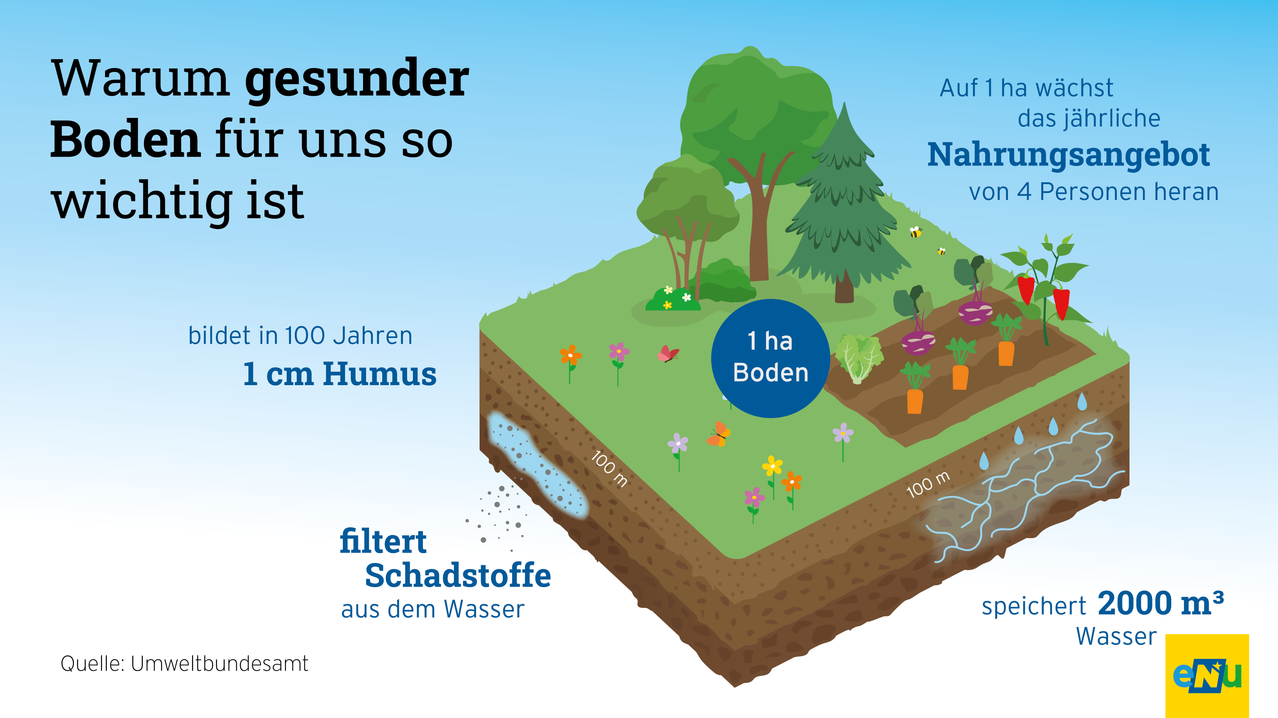 Illustration of soil with plants and water filtration. Text reads '1 ha Boden' and '100m' on both sides. It mentions filtering pollutants from water.