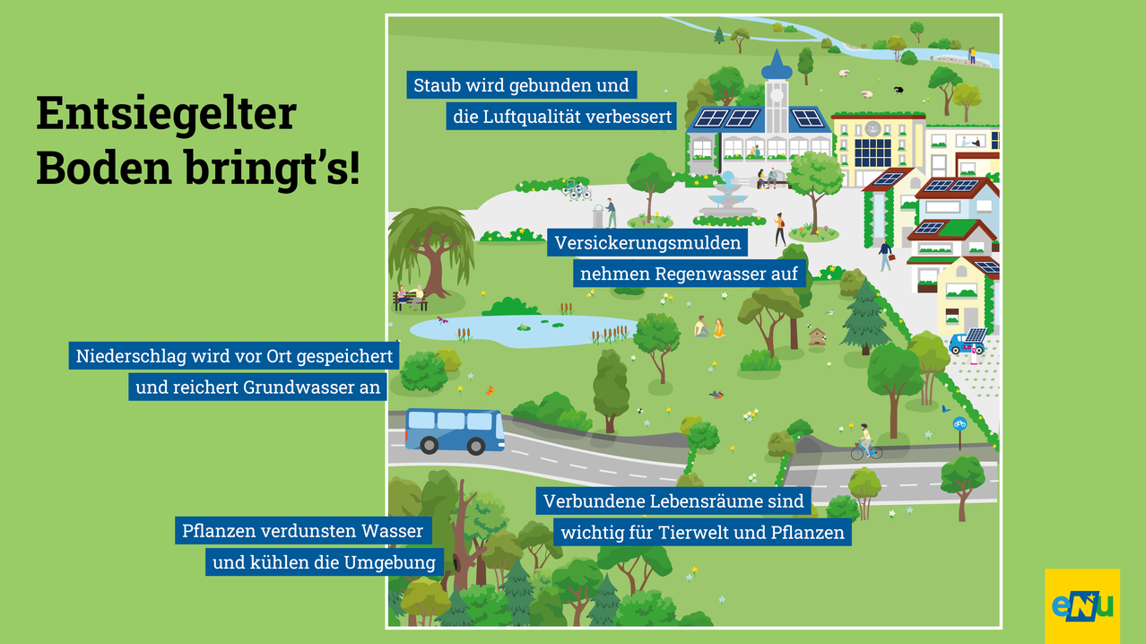 Eine Infografik über die Vorteile von Stadtgrün. Sie zeigt, wie Staub gebunden wird, die Luftqualität verbessert wird, Rückhaltebecken Regenwasser speichern, Verdunstungskühlung und wie verbundene Lebensräume für Tierwelt und Pflanzen wichtig sind.